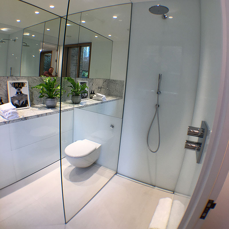 Frameless Glass Shower in Vogue