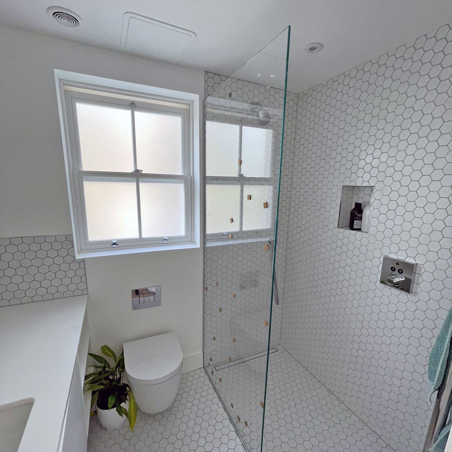 Frameless glass shower door and frosted glass on windows