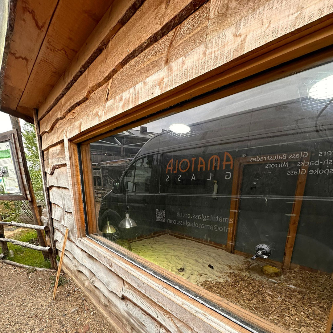 Specialist glazing for a tortoise enclosure at a visitor attraction near London